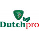 Dutch Pro